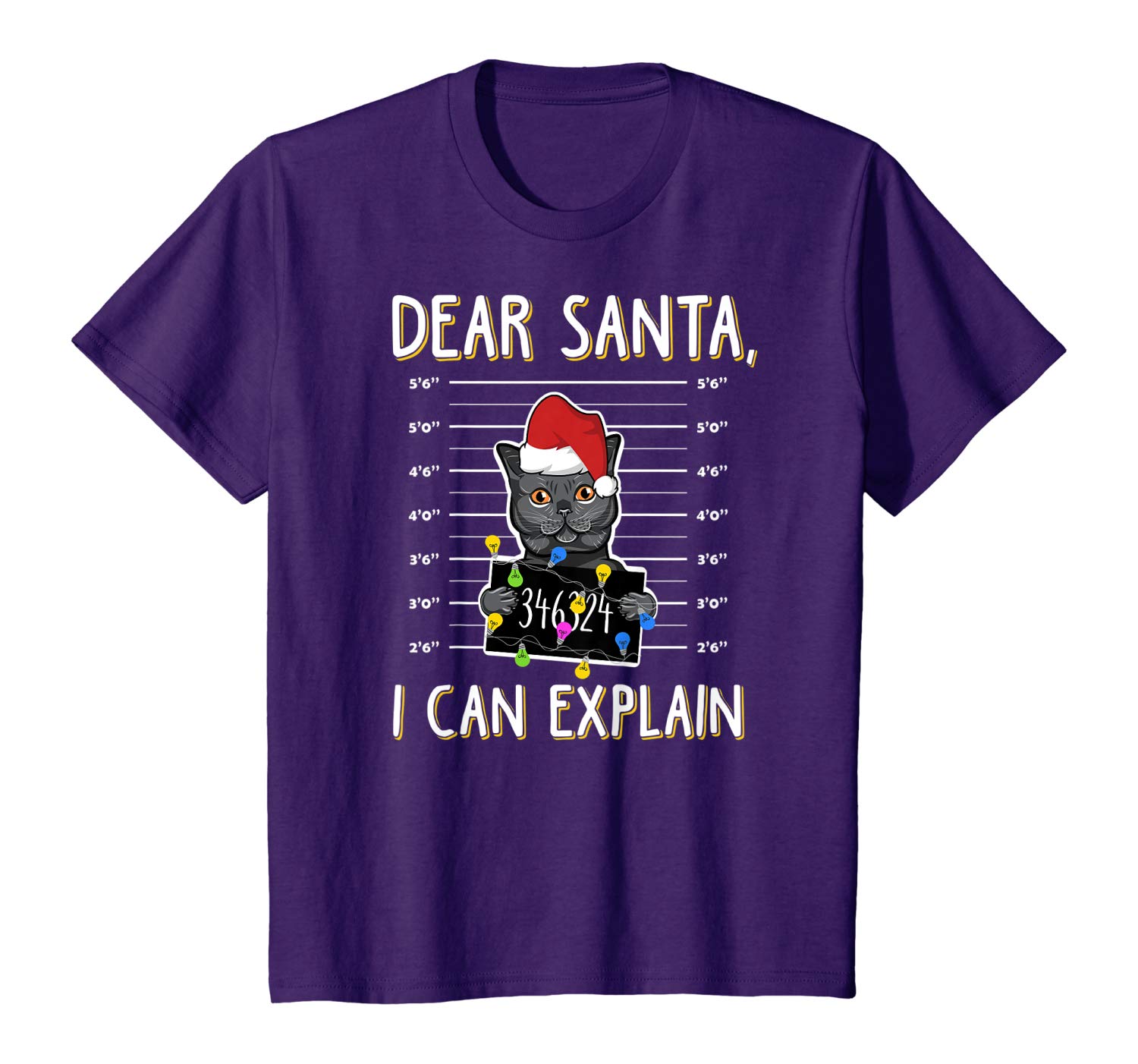 Awesome Dear  Santa I Can Explain Christmas Cat Lover T-Shirt T-Shirt Sweatshirt Hoodie