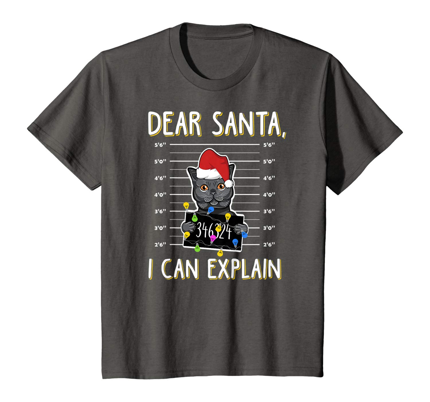 Awesome Dear  Santa I Can Explain Christmas Cat Lover T-Shirt T-Shirt Sweatshirt Hoodie